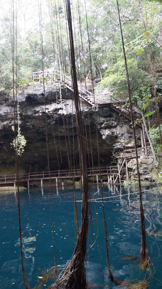 Cenote X’canche - Meksyk Cenote X’canche - Meksyk